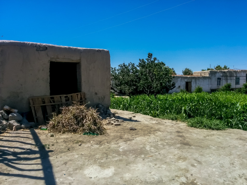 Деревня в Узбекистане
